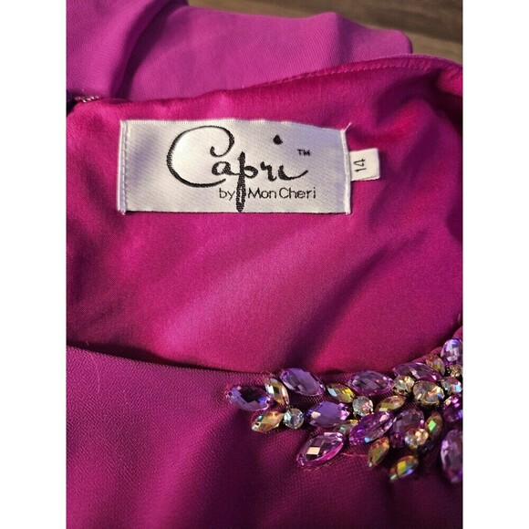 Capri by Mon Cheri Mother of the Bride Groom Dress Size 14 - Picture 9 of 9